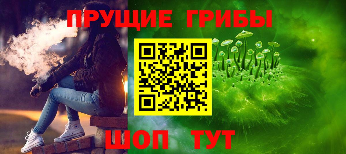 Галлюциногенные грибы Psilocybine cubensis  Вход с VPN  Гулькевичи 