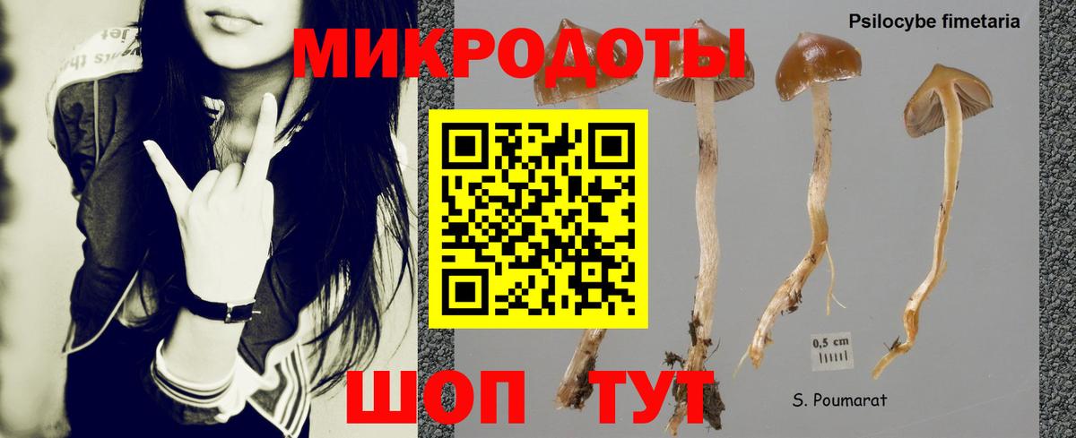 Псилоцибиновые грибы Cubensis Гулькевичи